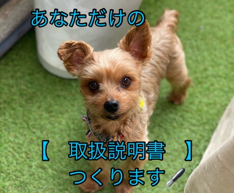 あなただけの＼世界初⁉︎／の取扱説明書きます 生年月日がわかれば、どなたの取扱説明書でも書きます イメージ1