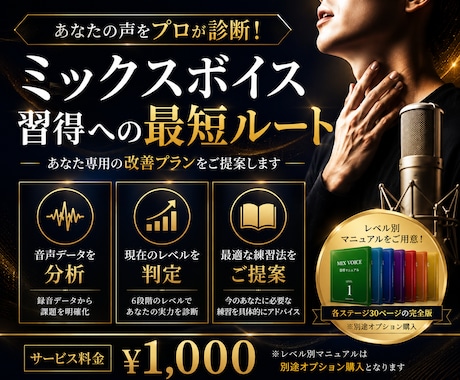 発声特訓！読んで実践！ミックスボイス習得させます プロがミックスボイスを習得に必要な知識を解説した資料を提案！ イメージ1
