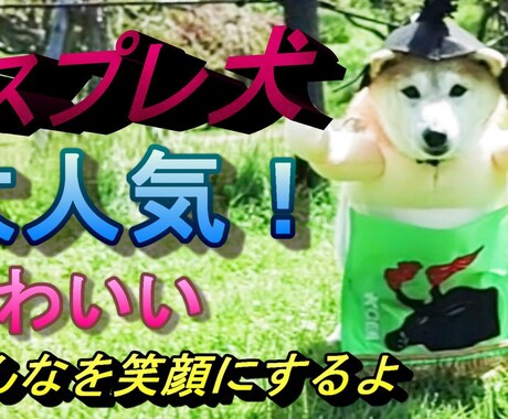 低価格で見映えする動画を編集いたします ご納得いくまで何度でも丁寧に動画編集致します。 イメージ2