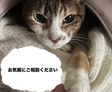 1分から。どんな些細なことも、お待ちしております よくある話だからと、小さなことだからと 諦めないでください。 イメージ2