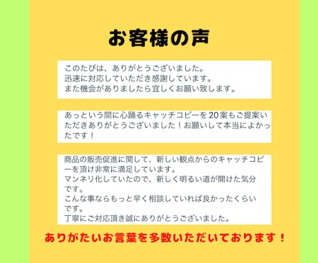 プロがキャッチコピーを1日以内に20案ご提案します 実績多数！迅速即日！プロ監修のキャッチコピーをお得にお届け！ イメージ2