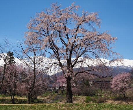 長野県（白馬村・大町市方面）への移住相談のります 長野県へ移住して4年、リアルな移住生活をアドバイス イメージ2