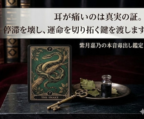 あなたを縛る執着を特定し、心の本音を毒出しします ​耳が痛いのは真実の証。停滞を壊し運命を切り拓く鍵を渡します イメージ1