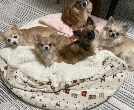精神的な病気、うつ病でも恋愛や結婚できます 辛い努力も救われるはず！恋愛や結婚で人生が180度変わります イメージ2