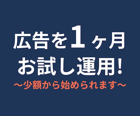 広告を1ヶ月運用し改善レポートを提出します イメージ1
