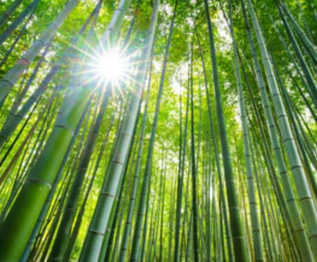 初回1000円☆易占断と九星氣学で占います このまま行けばどうなるの？二者選択で悩まれているかたへ イメージ2