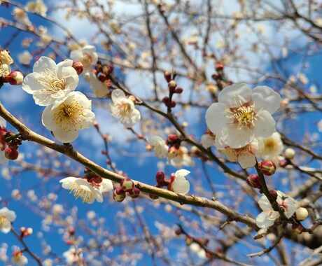ふわっとお悩みや雑談お聞きします ～ちょっとしたお悩みから気軽な雑談まで　お気軽にお気楽に～ イメージ1