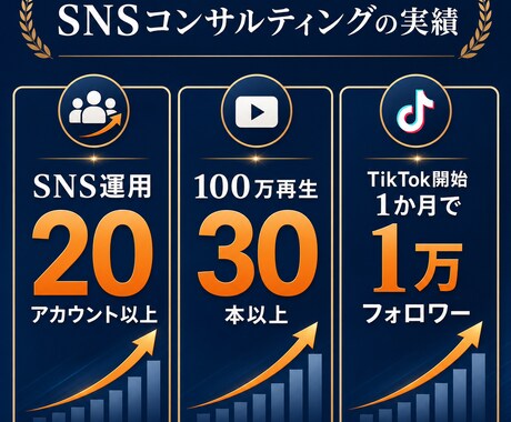 無料診断受付中｜売上に繋がるSNSを構築します 100万再生動画を量産したノウハウでサポートします。 イメージ2