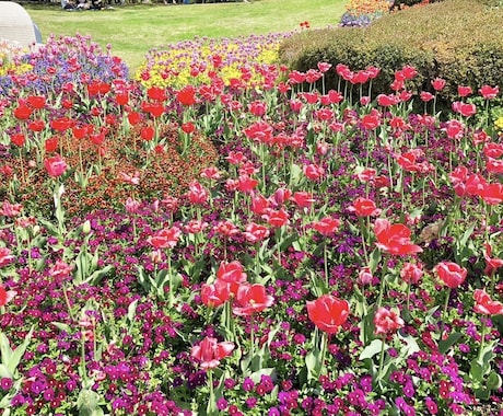 四柱推命で総合鑑定し⭐️タロットで答えを導きます ⭐️四柱推命で運気の流れを知り、タロットで解決策を導きます イメージ1