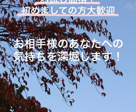 相手の気持ちを深堀します あなた様のことをどう思っているか真相をお伝えします イメージ1