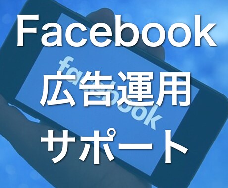 Meta／Facebook広告のアドバイスします 【広告運用を教えるプロ】累計380人以上へのアドバイス実績 イメージ1