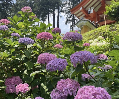 妊娠中、子育て中のママさんのお話聞きます ５人の子育て経験者の私とママ友感覚でお話しませんか？ イメージ2