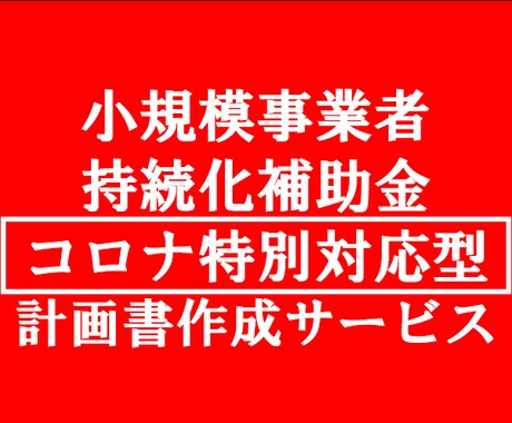 小規模事業者持続化補助金の書類一式作成します 実績のあるプロのコンサルタントがあなたの事業を応援します。 イメージ1