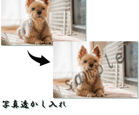透かし制作致します フォトグラファーさんの透かしロゴ、サンプルの透かし作ります。 イメージ1