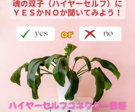 ハイヤーセルフ（魂の双子）がYES/NOで答えます 答えを聞いて幸せな未来に進みましょう イメージ1