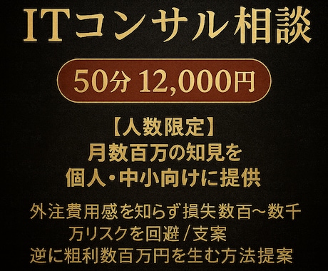 プロがIT相談、ITコンサルをさせて頂きます 特別価格（3名まで）数十万～数百万の損を飲み代で回避 イメージ1
