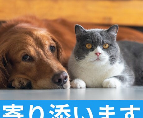 悩みを抱えるあなたのその心にそっと寄り添います 愚痴や悩みは心にとどめておかず、吐き出して前へ進みましょう！ イメージ2