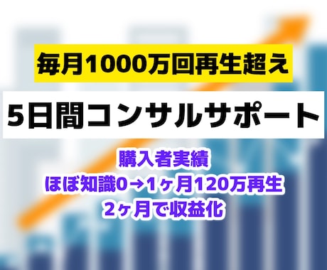 実績多数の私が5日間YouTubeコンサルします YouTube歴半年の購入者→1ヶ月120万再生&後に収益化 イメージ1