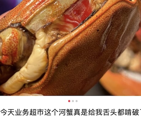旅行・美食など中国SNSに投稿します 中国の抖音や小紅書であなたの旅行美食体験を魅力的に発信します イメージ2
