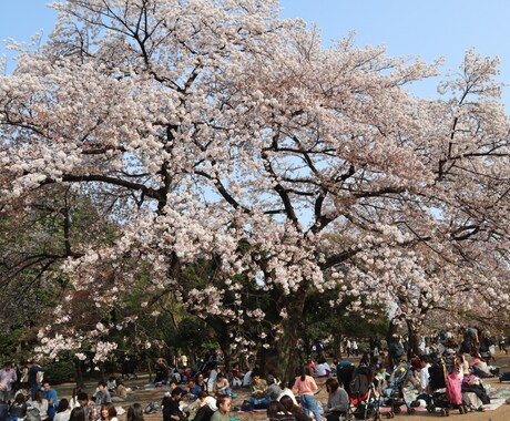 あなたの心に残るフォトをお届けします 自然体を生かし、一枚の写真で人の心を動かす写真家 イメージ1