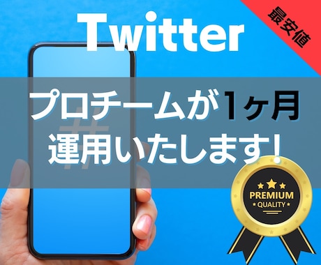 全て手動で丁寧にTwitter運用代行します プロマーケッターチームの力で安心•高成果の運用代行します イメージ1