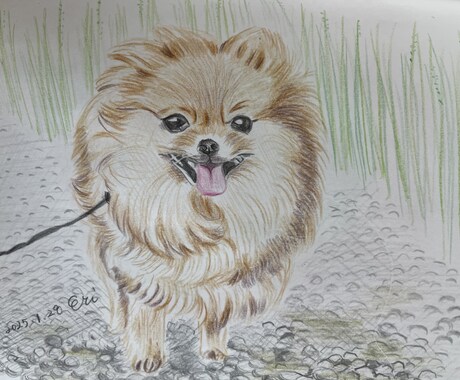 手描きで優しいペット似顔絵をお描きします 写真をもとに、やさしい雰囲気の似顔絵を描きます イメージ2
