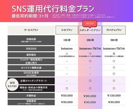 週2回投稿！30日間SNS運用代行します 動画投稿＋TikTok同時運営で効果的に拡散させます！ イメージ2