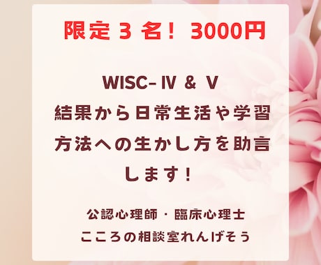 限定３名！WISC‐Ⅳ・Ⅴ結果の生かし方教えます 実施件数100件超！結果から日常生活や学習方法の助言をします イメージ1