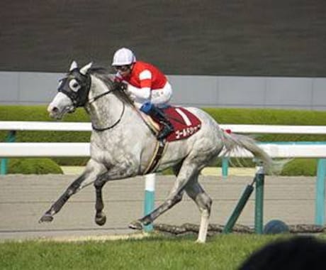 中央競馬予想します 長期的に収支をプラスにしたいあなたへ イメージ1