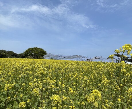 自分責めをふわっとゆるめるアドバイスをします 自分責めをふわっとゆるめる言葉、素敵なところを伝えます！ イメージ1