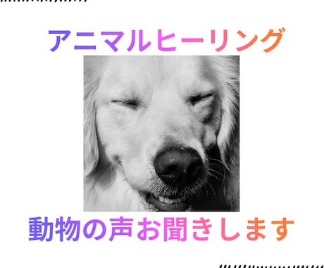 大切なペットの気持ちを、やさしくお伝えします うちの子、何を想ってる？心の声を通訳します イメージ1