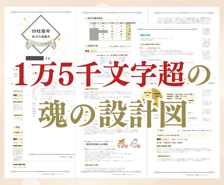 あなたの「魂の取扱説明書」を作成します 15,000文字超｜四柱推命で読み解く「魂の完全攻略パック」 イメージ2