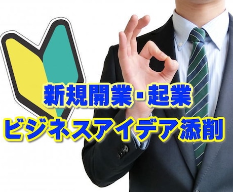 あなたの新規開業起業ビジネス計画を添削します 経営歴21年のベテランが新規開業フリーランス・起業を添削 イメージ1