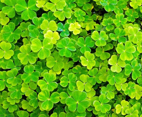習慣化のお手伝い、１ヶ月1日の良かった事を聞きます 良くない一日にも何かしらのいい事はあるはず！ イメージ1