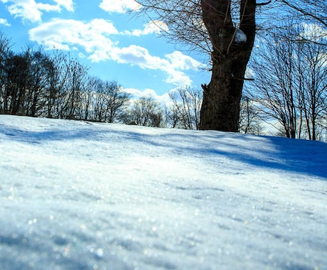 秋田市内で雪かきをします 1人暮らしの高齢者体力的に除雪が難しい方。 イメージ1