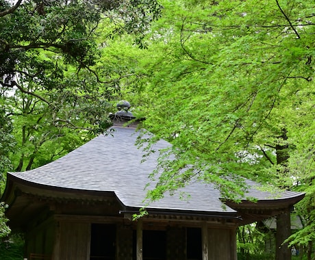 世界遺産に輝く中尊寺金色堂の写真を提供します 世界遺産に輝く中尊寺金色堂と境内の風景 イメージ2