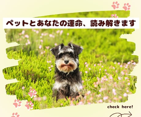 なぜ私を選んだの？ペットとあなたの絆を鑑定します 「この子で良かった」と思える。絆を深め、自分に自信を灯す鑑定 イメージ1