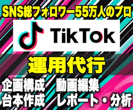現役TikTokプロチームがアカウント運用します 運用実績250件以上のフォロワー55万人がバズらせる イメージ1