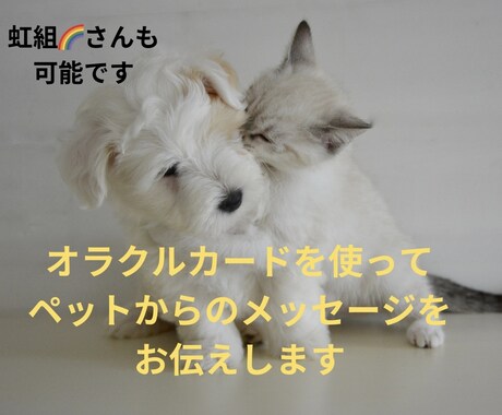 ペットからのメッセージを伝えします オラクルカードを使ってメッセージを出していきます。 イメージ1