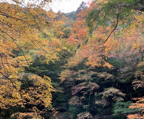 高知の便利屋やってます 困った時、必要な時はお任せ下さい！ イメージ1
