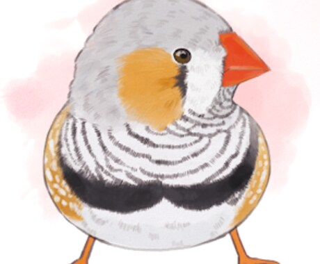 ペットの小鳥のイラスト描きます 愛鳥の似顔絵描きます！ふわふわの毛質にこだわりアリ！ イメージ2