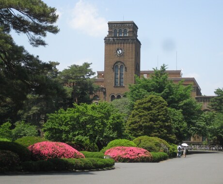 受験生の添削・指導行います 受験直前に現役難関大生からのアドバイスを受けたい方に イメージ1