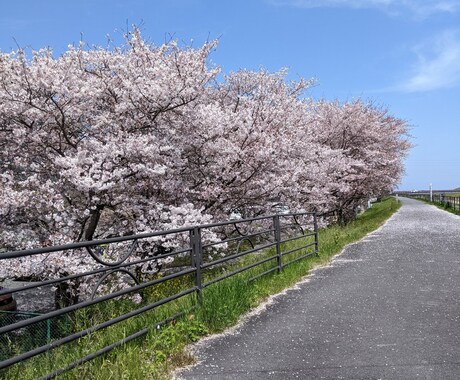 小さな事でも、人生のお悩み等、何でもお聞きします お悩み事に寄り添ってお話を聞き、秘密は厳守致します。 イメージ2
