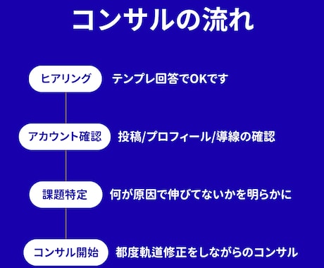 あなたのSNSを1ヶ月間コンサルします フォロワーより“売上導線”を整えるSNS相談に！ イメージ2