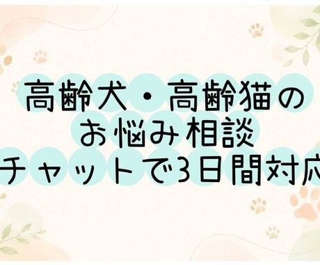 シニア犬・シニア猫の介護相談承ります 高齢犬・高齢猫のお世話や介護相談承ります イメージ1