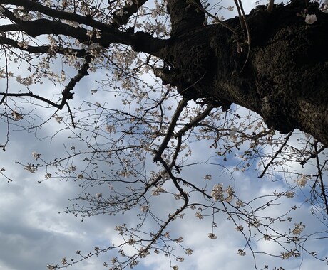 復縁について占います 復縁が叶うのかどうか知りたい方にぴったりな内容です イメージ1