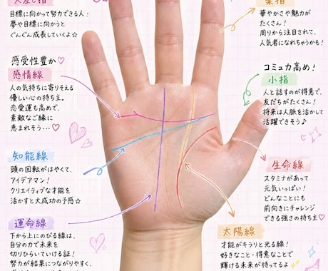 あなたの手相をプロ目線で丁寧に鑑定します 手のひらの写真から、線を丁寧に確認し鑑定いたします。 イメージ1