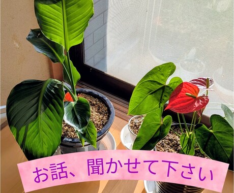 丁寧にあなた様のお話をお聞きします お気持ちを軽くしていきましょう イメージ1