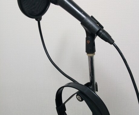 歌謡曲全般を制作、通信カラオケ配信致します 通信カラオケ配信、バラード、フォーク、歌謡曲全般。 イメージ2