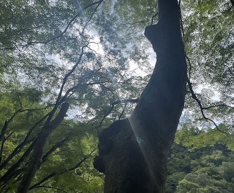 仕事に疲れてしまった方お話しお聞きします 仕事に対しての思考が整理できない方へ イメージ1